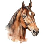 Autocollant mural buste de cheval