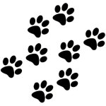 Autocollants en vinyle motif pattes de chat / chien