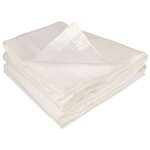 Bâche pour serre de jardin tunnel en polyéthylène 140g / m² - 18 m² - blanc Bâche pour serre de jardin tunnel en polyéthylène 140g / m² - 18 m² - blanc