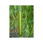 Le jardin du pic vert - bambou gant 'huanwenzu' pot de 12l / 15l