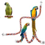 Basetbl - 2 pices perroquet corde  grimper jouets oiseaux pour perroquets perchoirs pour oiseaux balanoire ...