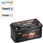 Batterie lifepo4 12v 100ah bluetooth sous sige - hauteur 189mm, bms 200a, dcharge 2c, auto - chauffage, ...