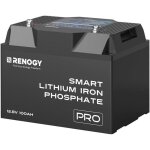Batterie lifepo4 renogy 12 v 100 ah �c avec protection bms 60 fois sup�rieure, auto - �chauffement et ...