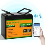 Eco - worthy - batterie lithium 12v 100ah bluetooth avec protection de bms et de basse temprature, lifepo4 ...