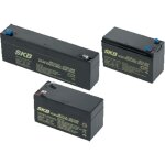 Batterie au plomb 12 v 2 ah came bb020 846xg - 0020 scurit anti - intrusion