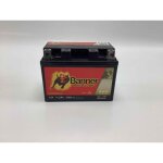 Batterie tracteur tondeuse banner bike bull gel 12v 11ah gel51201