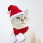 Bebusingoto costume pour animal de compagnie pour les vacances st patricks birthday cat dog halloween ... Bebusingoto costume pour animal de compagnie pour les vacances st patricks birthday cat dog halloween ...