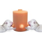 Bebusingoto mangeoire à lait en silicone pour chiot, 5 tétines pour station de soins infirmiers bol dispositif ... Bebusingoto mangeoire à lait en silicone pour chiot, 5 tétines pour station de soins infirmiers bol dispositif ...