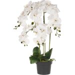 Plante artificielle en pot orchidée 63 cm décoration intérieur plastique orchid Plante artificielle en pot orchidée 63 cm décoration intérieur plastique orchid