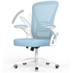 Bigzzia - fauteuil de bureau ergonomique siège - fauteuil avec 2d accoudoirs - support lombaire - réglable ... Bigzzia - fauteuil de bureau ergonomique siège - fauteuil avec 2d accoudoirs - support lombaire - réglable ...