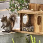 Bingopaw mangeoires pour �cureuils pour l'ext�rieur, table d'alimentation pour �cureuils, mangeoire pour ...