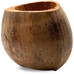 Biococo pot pot de coco pour orchid�es epiphytes