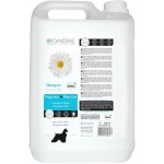 Chadog - shampooing pelage blanc biogance : 5 litres Chadog - shampooing pelage blanc biogance : 5 litres