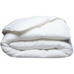 Blanreve - couette chaude anti - acariens - 400 gr / m� 260 x 240 cm - blanc
