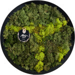 Bloomique - tableau mousse - rond - sans entretien - d�coration murale - en vraie mousse - diam�tre 38 ...