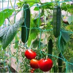 Bluedeer - filet � ramer avec maillage large pour une r�colte particuli�re bonne de concombres, tomates ...