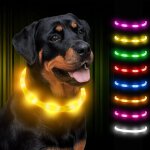 Fitags - collier lumineux pour chien, led rechargeable rglable pour petits, grands et moyens chiens ...