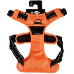 Bobby - harnais rando walk orange : taille m