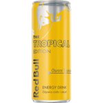 Boisson énergisante red bull aux fruits tropicaux : des ailes énergétiques pour tous les jours Boisson énergisante red bull aux fruits tropicaux : des ailes énergétiques pour tous les jours