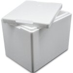Bote isotherme en polystyrne termobox avec couvercle, certifie pzh, 395 x 295 x 320 mm, 20 l, arpack ...