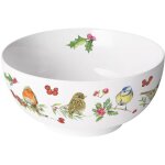 Bol en porcelaine fine oiseaux d'hiver ? 0, 40 l