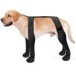 Bottes � bretelles pour chien, montantes, antid�rapantes, anti - chute, r�glables, protection des pattes ...