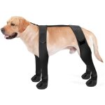 Bottes � bretelles pour chien, montantes, antid�rapantes, anti - chute, r�glables, protection des pattes ...