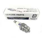 Bougie allumage husqvarna hqt - 10