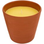 Bougie parfum�e 200g terry citronnelle pot en terre cuite - atmosphera cr�ateur d'int�rieur
