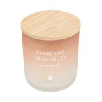 Bougie parfum�e en verre 'sana' 255g terre des merveilles