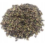 Bourgeons de bouleau gemmothérapie 1 kg naturel Bourgeons de bouleau gemmothérapie 1 kg naturel