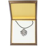 Bouvier bernois i - un collier avec un chien dans une bote cadeau, un mdaillon plaqu argent pour un ...