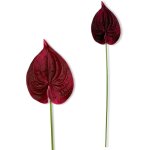 Branche - anthurium mousse bordeaux 57 cm