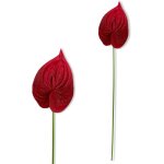 Branche - anthurium mousse rouge 57 cm