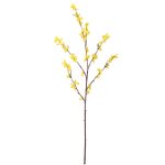 Branches de fleurs de forsythia artificielles, fausses branches de fleurs pour la d�coration de bureau ...