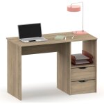 Briebe prakt bureau, table informatique, 76x115x50cm, 2 tiroirs, poste de travail, chambre bois