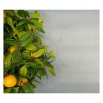 Direct filet - brise - vue de couleur - 1 x 5m gris Direct filet - brise - vue de couleur - 1 x 5m gris
