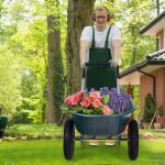 Maisonchic - brouette de jardin 2 roues brouette de jardin résistante en fer avec pneus Ø35cm charge ... Maisonchic - brouette de jardin 2 roues brouette de jardin résistante en fer avec pneus Ø35cm charge ...