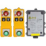 Ca 220v palan industriel cran tlcommande sans fil tanche lectrique ascenseur palan radi transmetteur ...