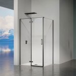 Grand verre - cabine de douche avec porte  charnires et paroi latrale hauteur 195cm profils en alu ...