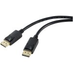 Cble de raccordement renkforce displayport fiche mle displayport, fiche mle displayport 1. 00 m noir ...