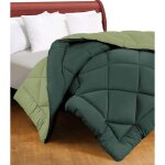 Caldo couette double face vert 300 gr / m� - couette d'hiver chaude et douce 250x250 cm