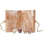 Altobuy - calendrier de l'avent 24 bougies parfum�es inspiration nature