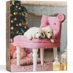 Calendrier de l'avent pour chiens 2025 [avec 24 friandises pour chiens] ? calendrier de no�l cadeau pour ...