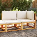 Vidaxl - canap� de jardin avec coussins 2 places bois massif d'acacia