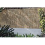 Canisse de roseau reedcane plus 1, 5 x 5 m beige nortene