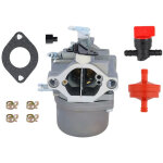 Carburateur de rechange 799728 pour briggs & stratton 494502 495706 496592 498027 498134 498231 499161 ...