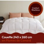 Casabel couette 240x260 cm ? plumes de canard ? moelleuse &