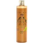 Caviar baume vert 1000 ml offre exclusive - iv san bernard Caviar baume vert 1000 ml offre exclusive - iv san bernard
