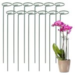 Kit 12 tuteur plante supports pour plantes grimpantes et fleurs tuteur vert aidez vos fleurs à pousser ... Kit 12 tuteur plante supports pour plantes grimpantes et fleurs tuteur vert aidez vos fleurs à pousser ...